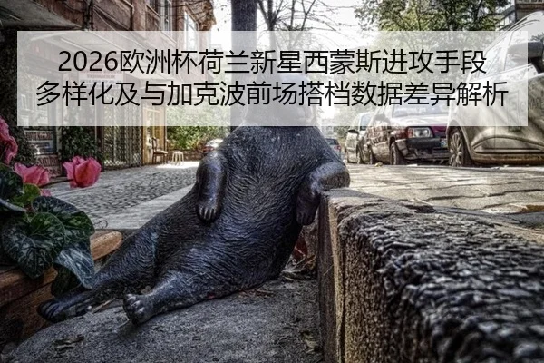 2026欧洲杯荷兰新星西蒙斯进攻手段多样化及与加克波前场搭档数据差异解析