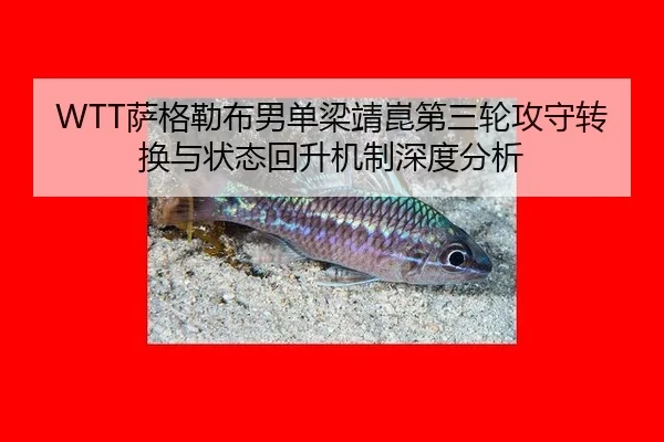 WTT萨格勒布男单梁靖崑第三轮攻守转换与状态回升机制深度分析