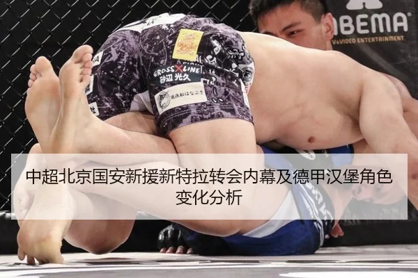 中超北京国安新援新特拉转会内幕及德甲汉堡角色变化分析