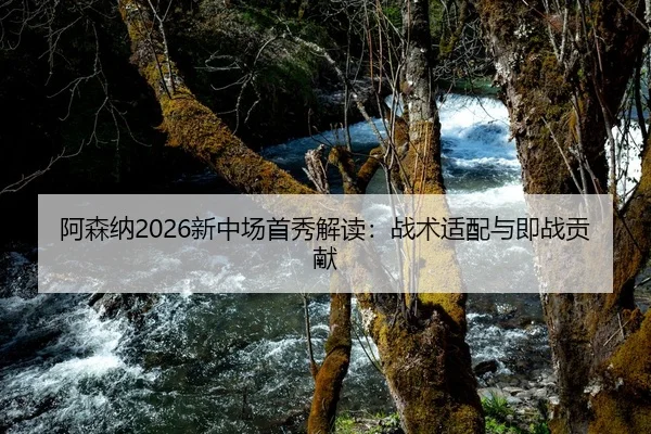 阿森纳2026新中场首秀解读：战术适配与即战贡献